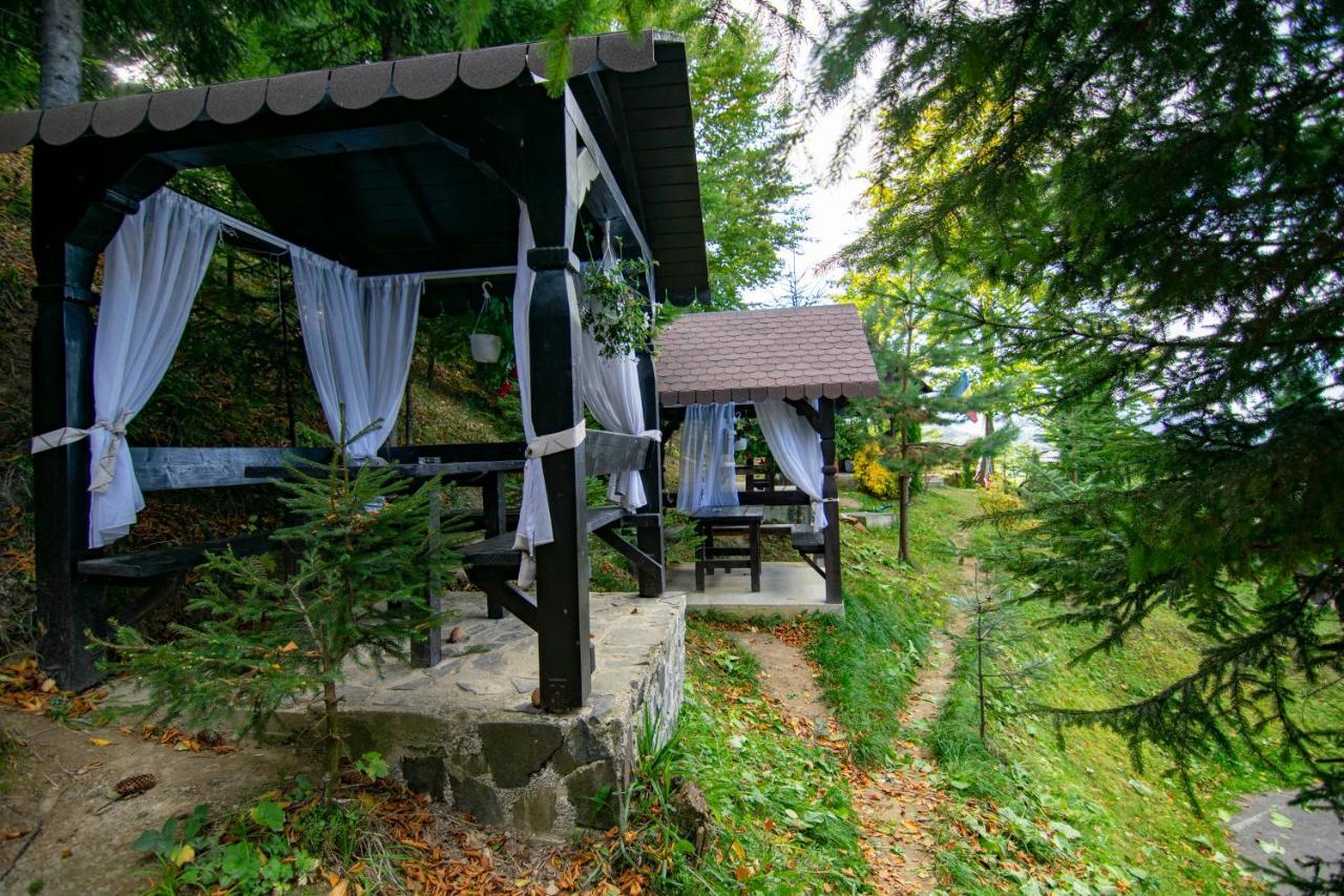 Alpina Panoramic Hotel Moisei Exterior photo