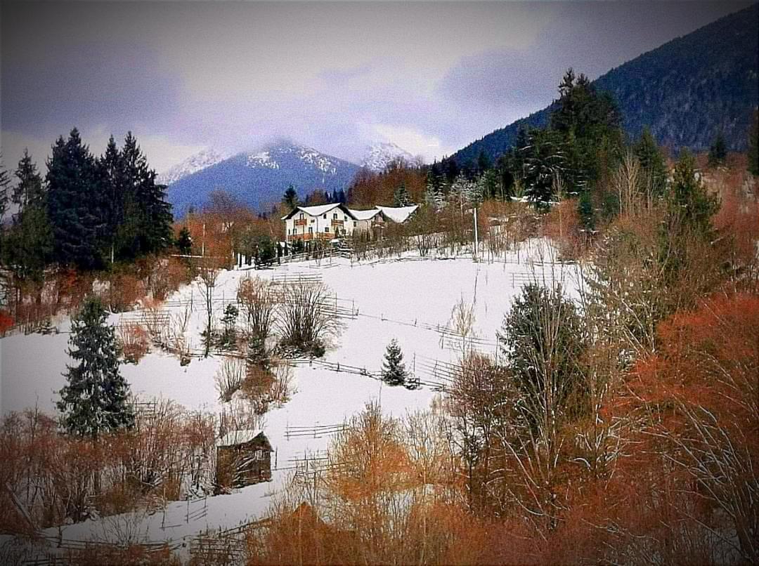 Alpina Panoramic Hotel Moisei Exterior photo