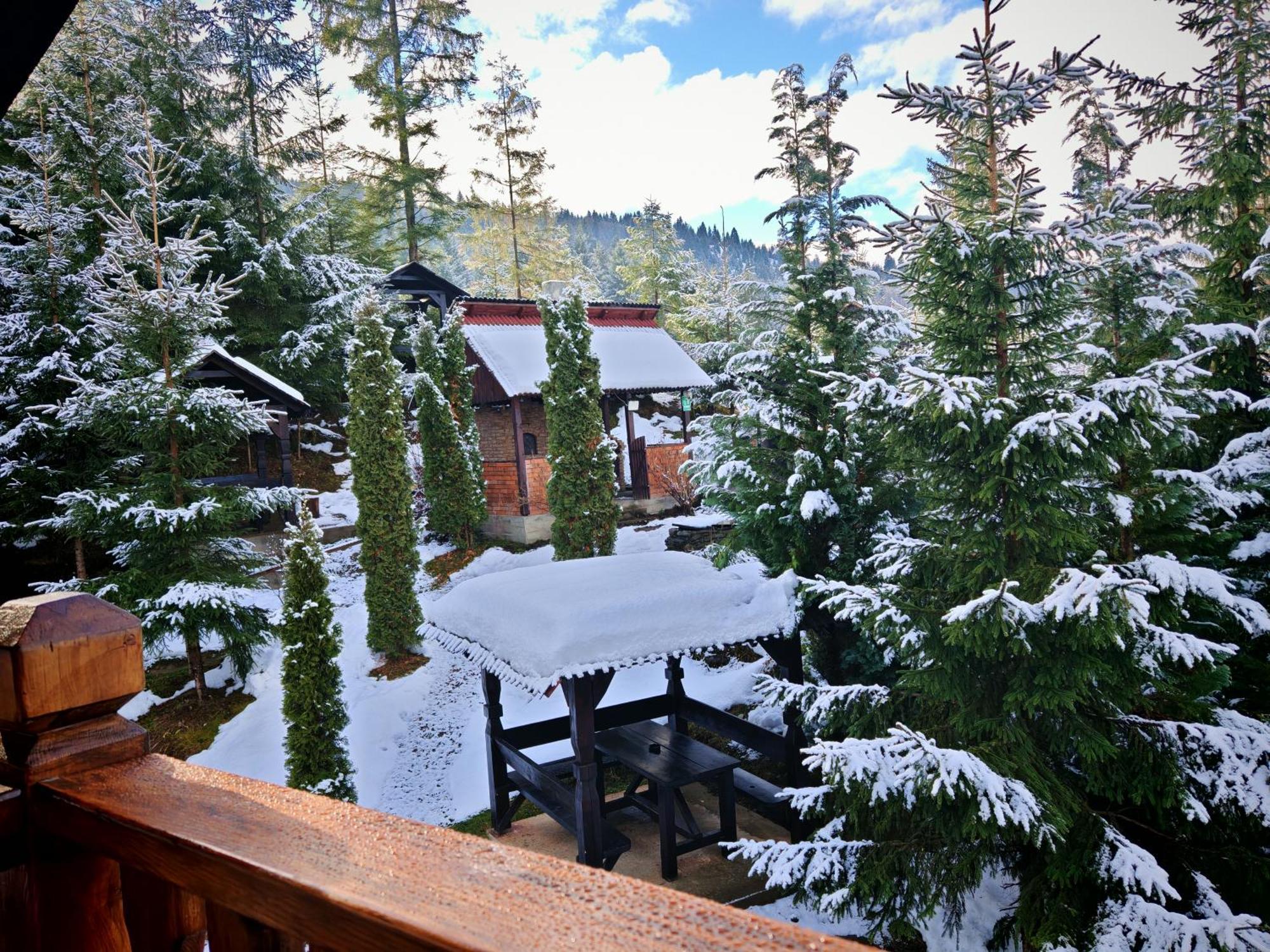 Alpina Panoramic Hotel Moisei Exterior photo